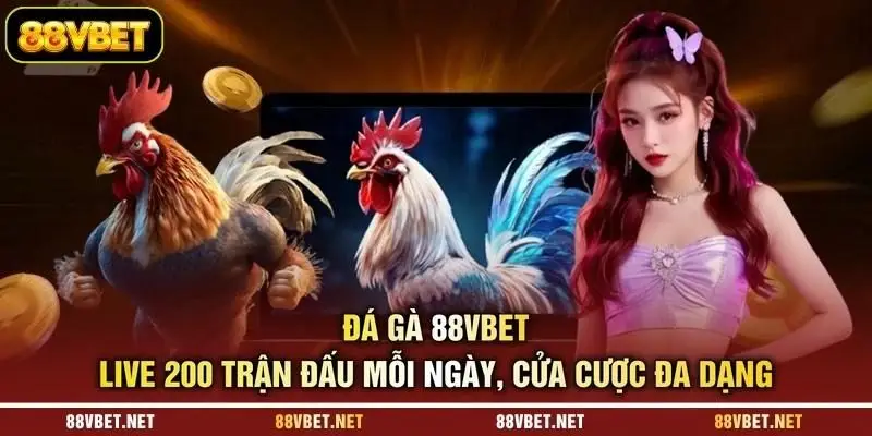 Đá Gà 88VBET - Live 200 Trận Đấu Mỗi Ngày, Cửa Cược Đa Dạng