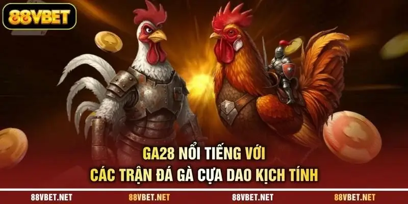 GA28 nổi tiếng với các trận đá gà cựa dao kịch tính