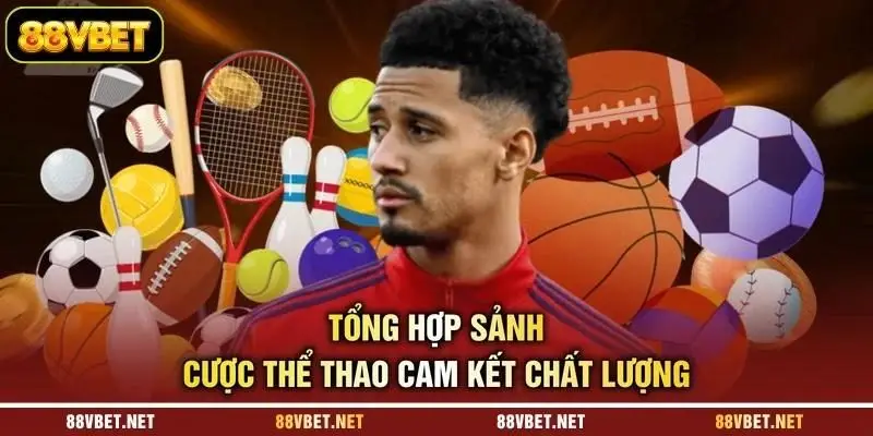 Tổng hợp sảnh cược thể thao cam kết chất lượng